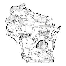 Wisconsin Wildlife Exploration